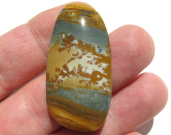 Owyhee cabochon (43.8x22x5.6mm) Picture Jasper cab free form wire wrap stone