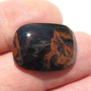 May include: A dark brown and black gemstone cabochon with a swirling pattern. The gemstone is about the size of a US quarter.
