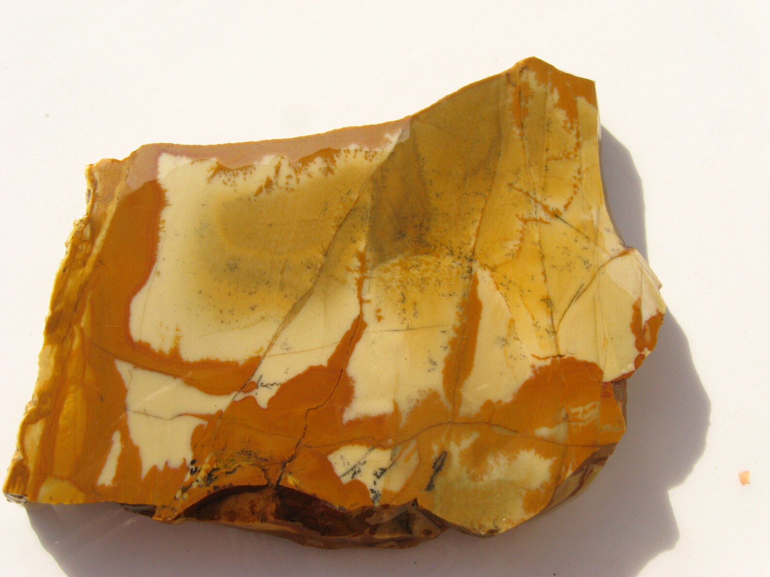 Owyhee Picture Jasper Rough Slab 70x62x6.7mm Owyhee Jasper Etsy