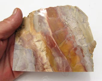 Burro Creek Brecciated Jasper rough slab 116x110x5.5 Burro Creek Jasper Jewelry rough slab Burro Creek jewelry Burro Creek Pastelite Jasper