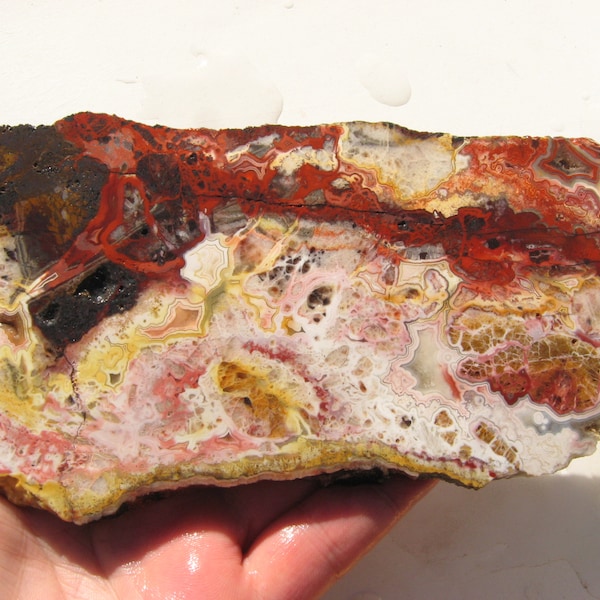 Crazy Lace agate slab (173x88x8.1mm) Crazy lace rough slab Laguna Lace agate rough slab Rosetta Jasper Druzy filled Vugs cabbing slab