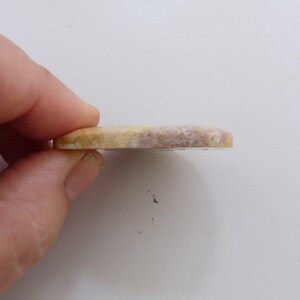 May include: A round, flat, light brown and white stone with a slightly rough texture.