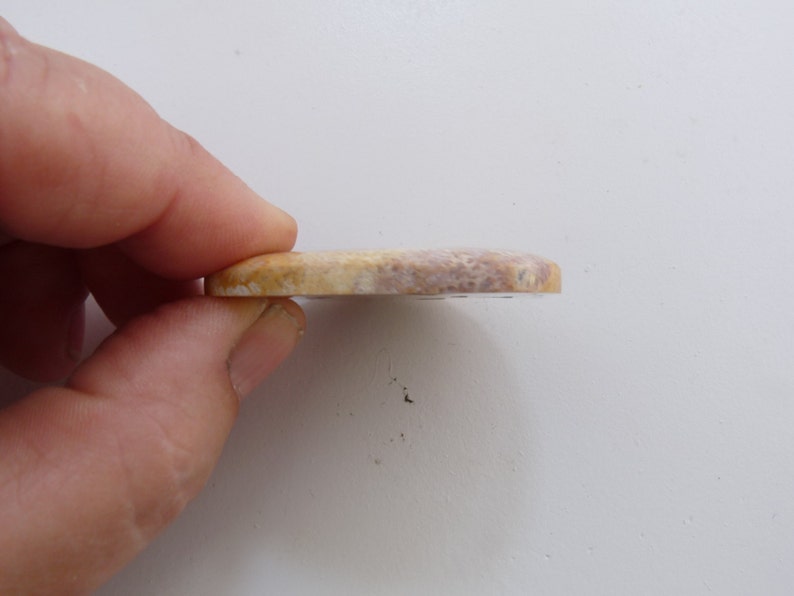 May include: A round, flat, light brown and white stone with a slightly rough texture.