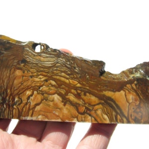 Dendritic Biggs Jasper slab (132x62x7.4mm) Deschutes Jasper slab Biggs Picture Jasper Lapidary slab