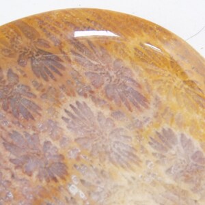 May include: A close-up of a round, polished, light brown and beige agate with a swirling pattern of darker brown and purple.