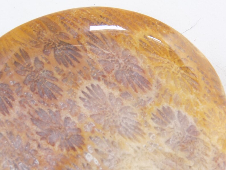 May include: A close-up of a round, polished, light brown and beige agate with a swirling pattern of darker brown and purple.