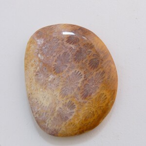 May include: A smooth, oval-shaped, polished stone with a fossilized coral pattern in shades of brown, pink, and white.