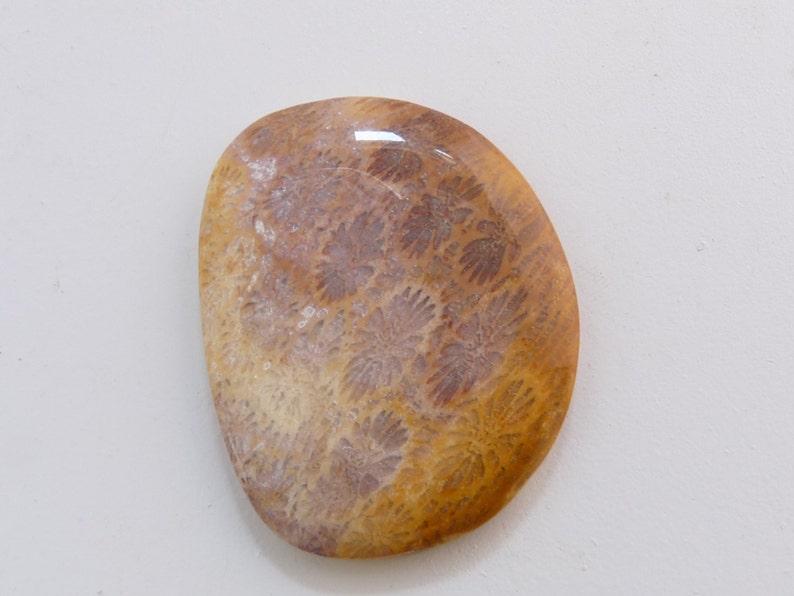 May include: A smooth, oval-shaped, polished stone with a fossilized coral pattern in shades of brown, pink, and white.