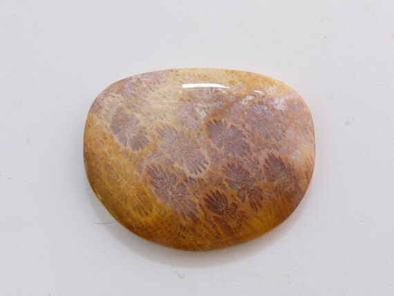 Indonesian coral cab, Indonesian fossilized coral cabochon, Fossil coral jewelry