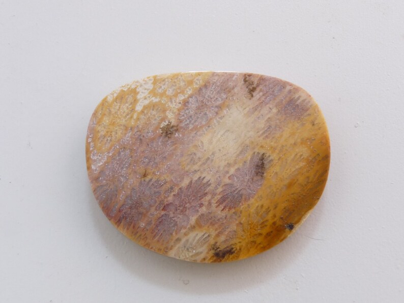 May include: A close-up of a fossilized coral cabochon. The cabochon is oval-shaped and has a light brown, yellow, and pink color with a swirling pattern.