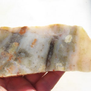 Arizona Petrified wood slab (150x62x7mm) Lapidary cabbing slab Arizona Rainbow Wood Petrified Rainbow Wood  jewelry