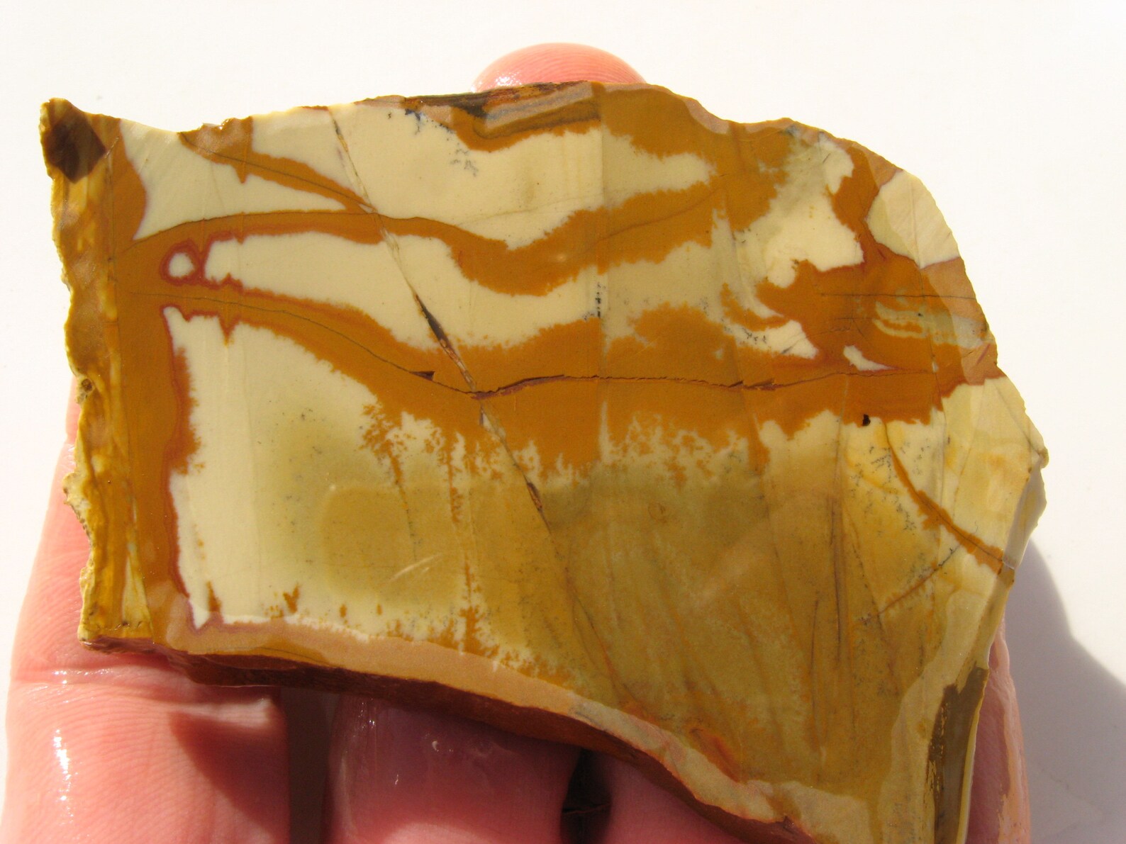 Owyhee Picture Jasper Rough Slab 70x62x6.7mm Owyhee Jasper Etsy