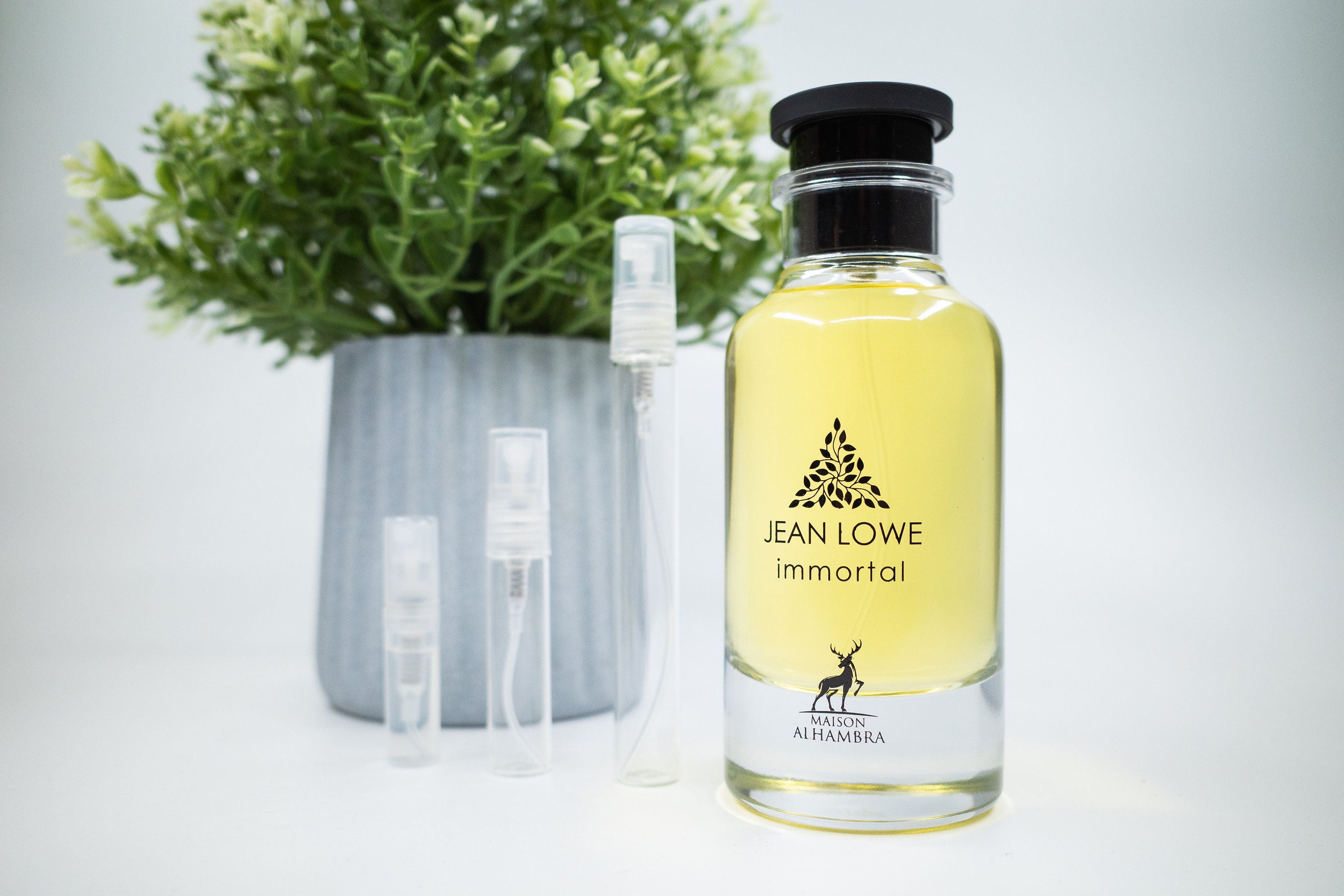 JEAN LOWE IMMORTAL eau de perfume 100 ml By Maison Alhambra
