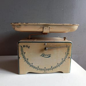 Lyssex Scale - Etsy