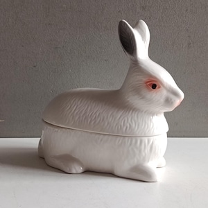 Blanche Lapin 3D Lapin de Pâques Moule en silicone Mousse Dessert Moule