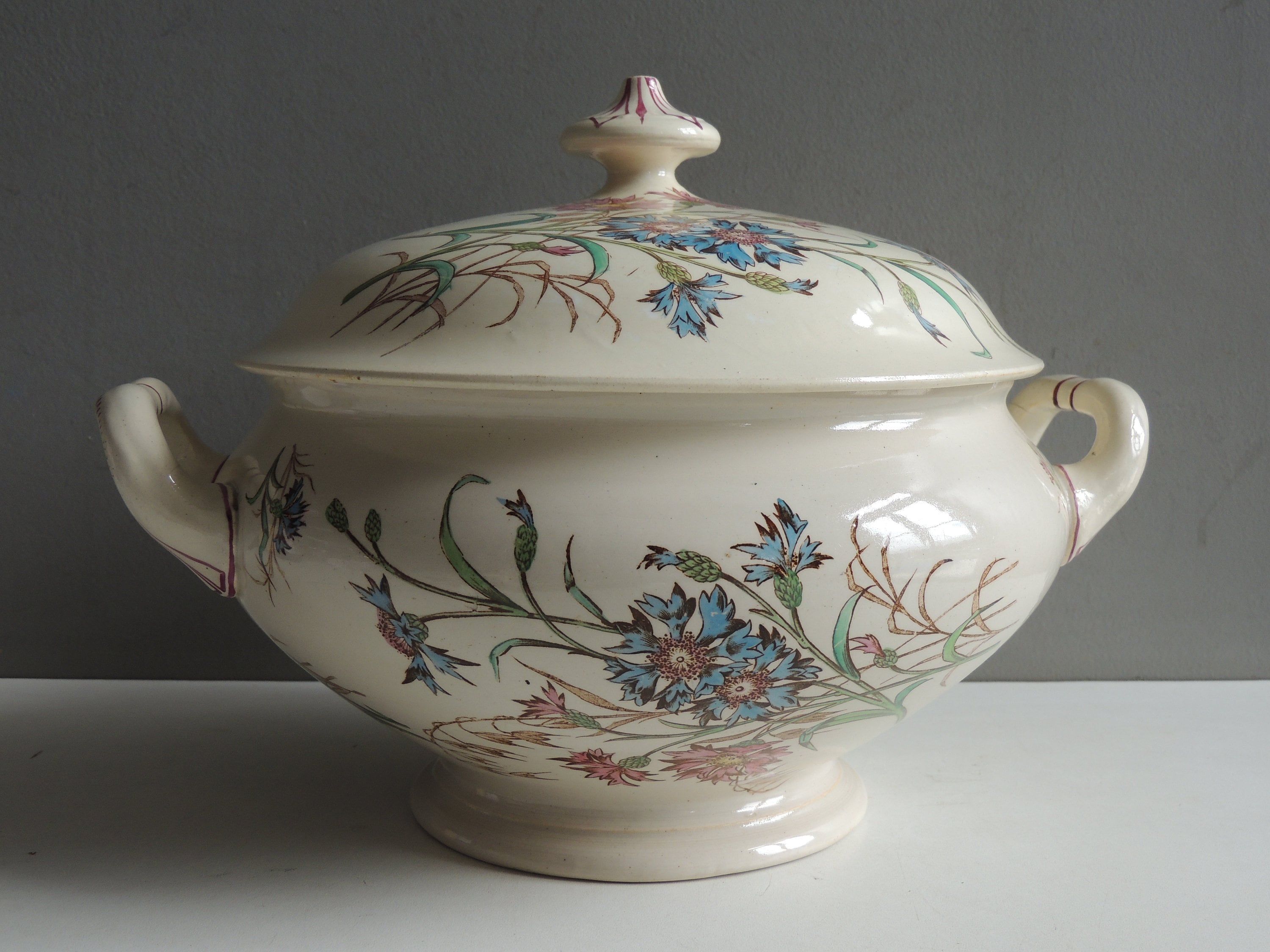 Superbe Grosse Soupière en Céramique Faïence Colorée de Lunéville Modèle Floral Bleuet Xixème