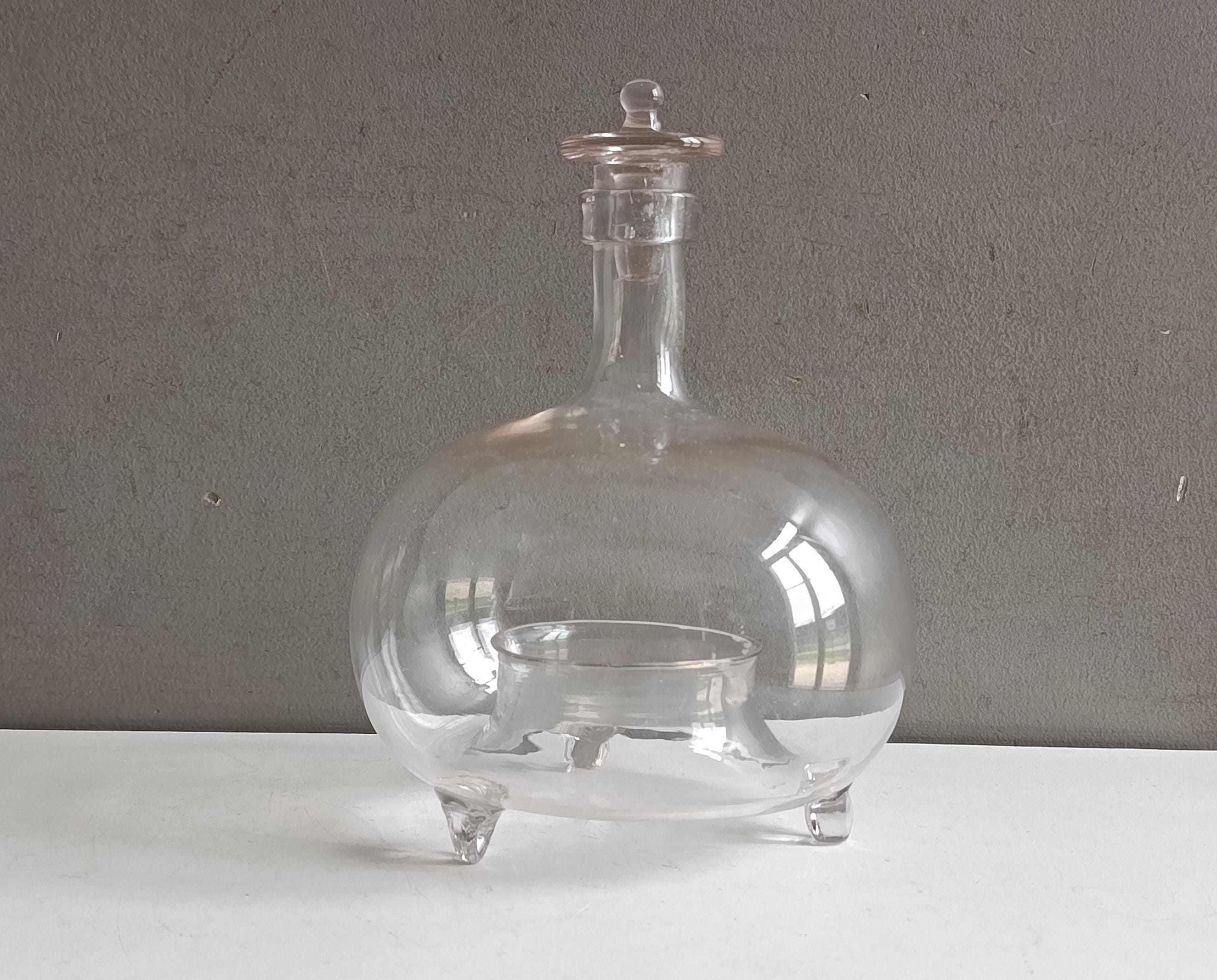 Blown Glass Fly Trap - Etsy