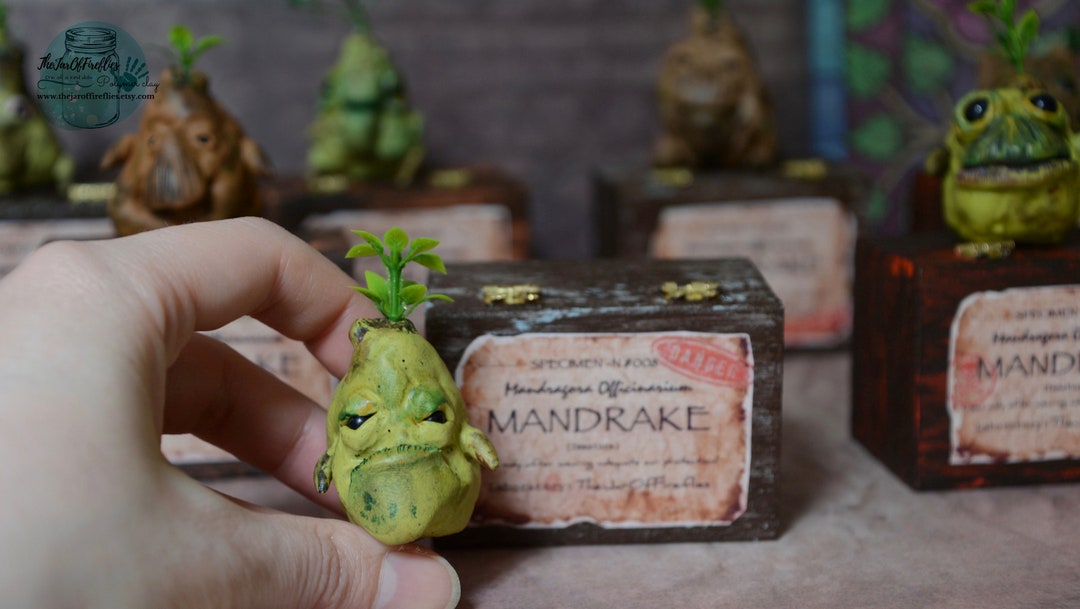 Ooak mandrake roots and other plants in polymer clay -  Portugal