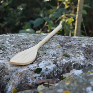 May include: A wooden spoon with a light brown color, lying on a gray and green mossy rock.