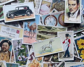 One Dozen Vintage Cigarette Cards Random Lot Flowers Birds Dogs British Many Varied Subjects