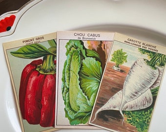 Vintage French Vegetable Seed Labels 1920s France Random Set of Three