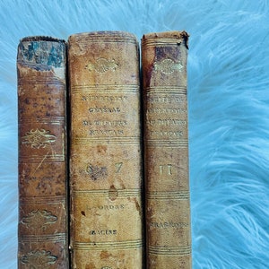 Antiquarian French Leather Books Gorgeous Old Paris Théatre Français 1821 1825 Aged to Perfection