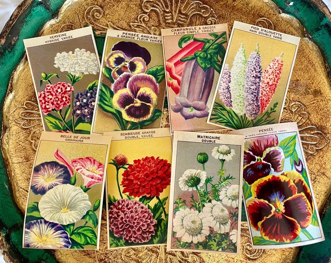 Vintage French Flower Seed Packet Labels 1920s Set of 8 Original Floral ...