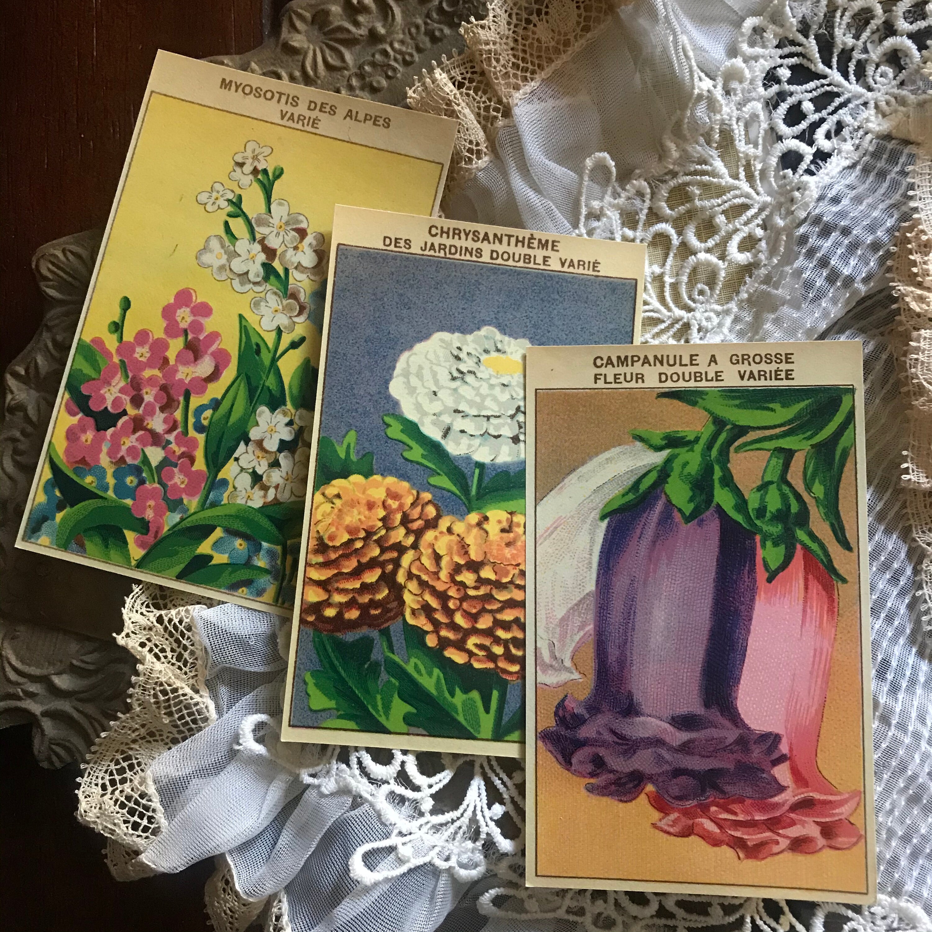 Vintage French Flower Seed Packet Labels Random Set of Three Antique ...
