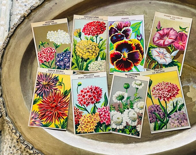Vintage French Seed Packet Labels 1920s Antique Flower Garden Ephemera ...