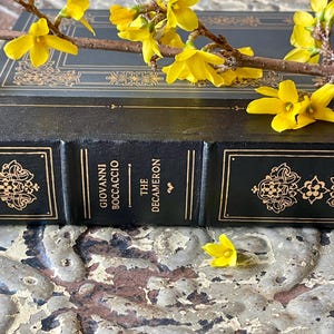 The Decameron by Giovanni Boccaccio The Franklin Library Classic Leather Spine Vintage Hardback Book