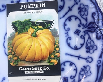 Vintage Pumpkin Seed Packet Kentucky Field Card Seed Co. Fredonia New York Black Orange Halloween Fall Decor