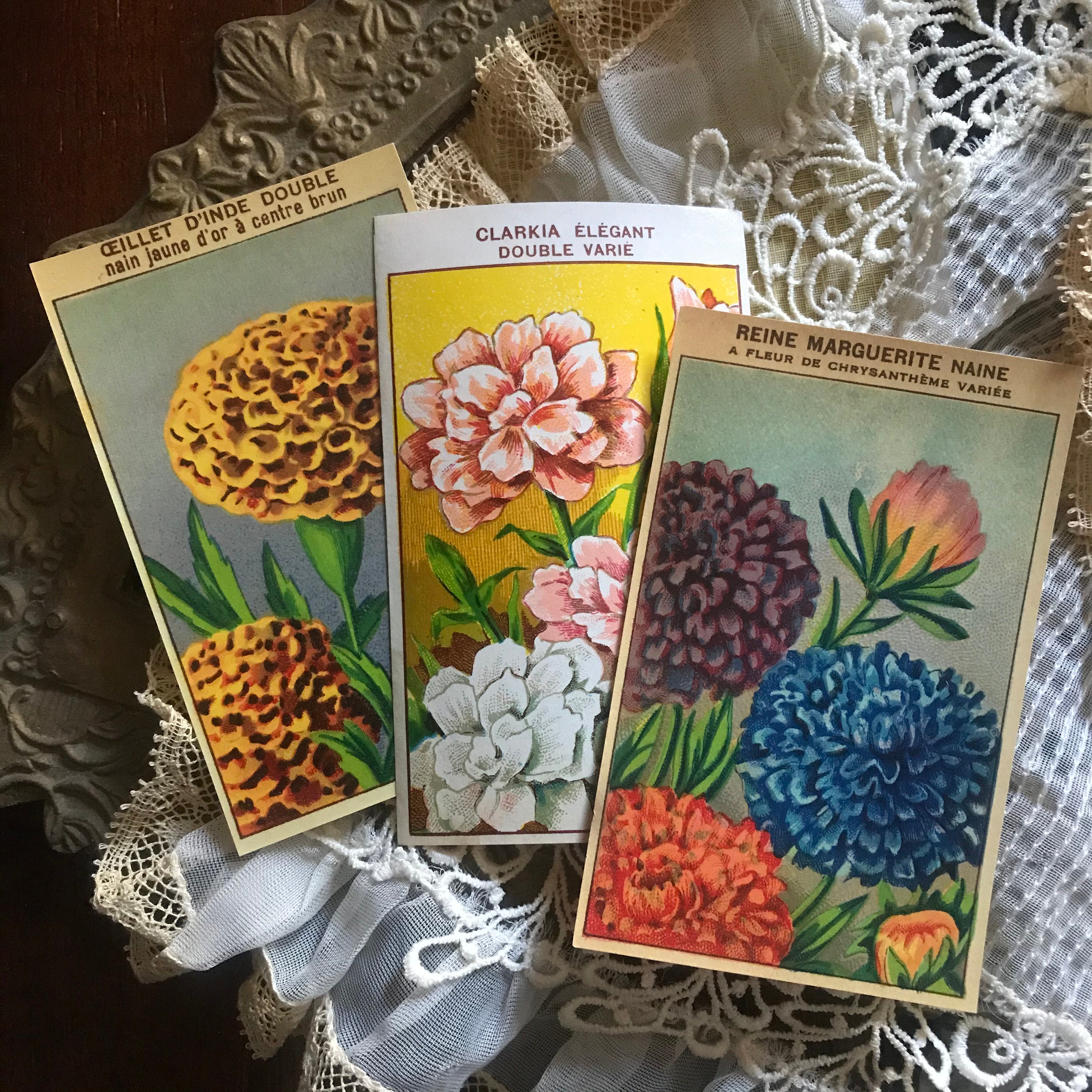 Vintage French Flower Seed Packet Labels Random Set of Three Antique ...