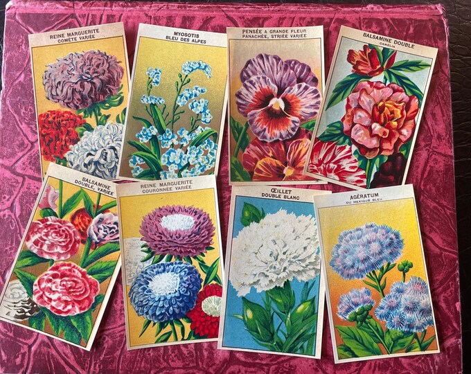 Vintage French Flower Seed Packet Labels Set of 8 - Etsy