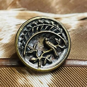 May include: A round, brass button with a raised design of two birds perched on a branch with leaves. The button has a textured, aged finish.