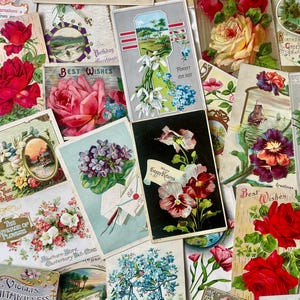 Surprise Set of Five Antique Postcards Early 1900s Floral Birthday Best Wishes Ephemera