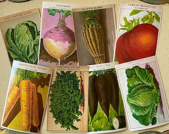 Vintage French Vegetable Seed Packet Labels Set of 8 Radish Celery Melon Lettuce