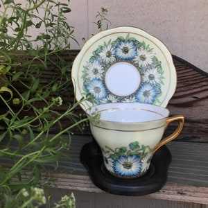 Vintage Rosina Blue and White Daisy Teacup and Saucer Bone China Made in England