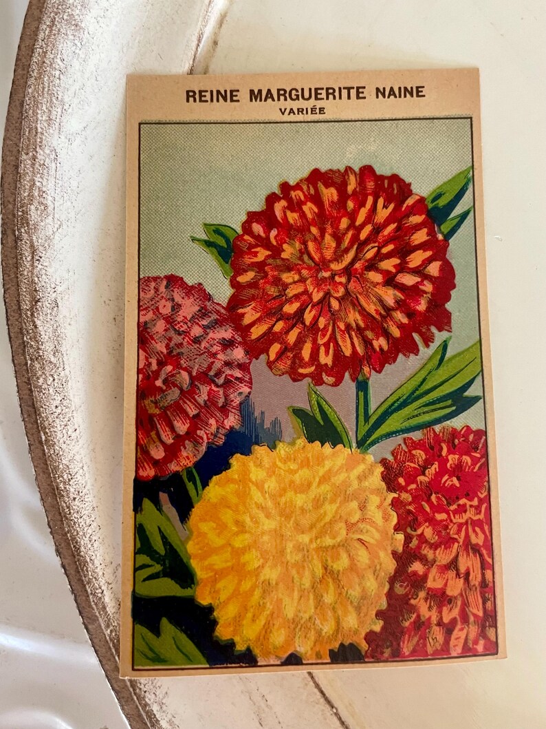 Vintage French Flower Seed Packet Labels 1920s Garden Ephemera Set of 8 ...