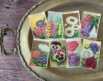Vintage French Seed Packet Labels 1920s Antique Flower Garden Ephemera Set of 8