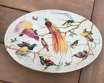 Vintage Oval Biscuit Tin Birds on Branches Hummingbirds Aviary Exotic Breeds British