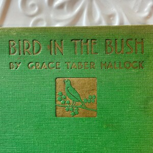 Bird in the Bush By Grace Taber Hallock Rare Vintage Children’s Book Seasons Nature Maps Poetry 1930