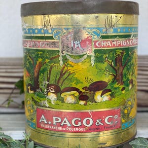 Large Antique French Mushroom Tin Extremely Rare A. Pago & Co. Champignons Art Nouveau Graphics
