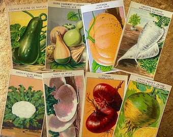 Vintage French Vegetable Seed Packet Labels Set of 8 Radish Celery Melon Lettuce