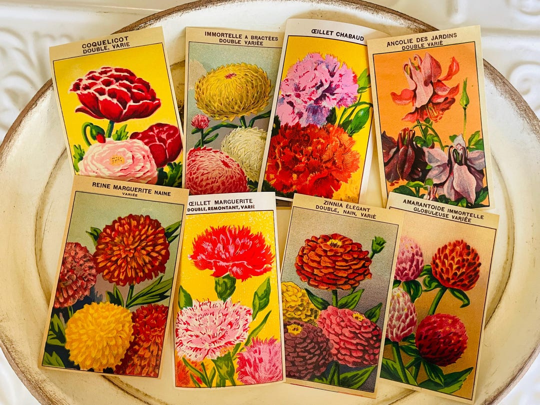 Vintage French Flower Seed Packet Labels 1920s Garden Ephemera Set of 8 ...