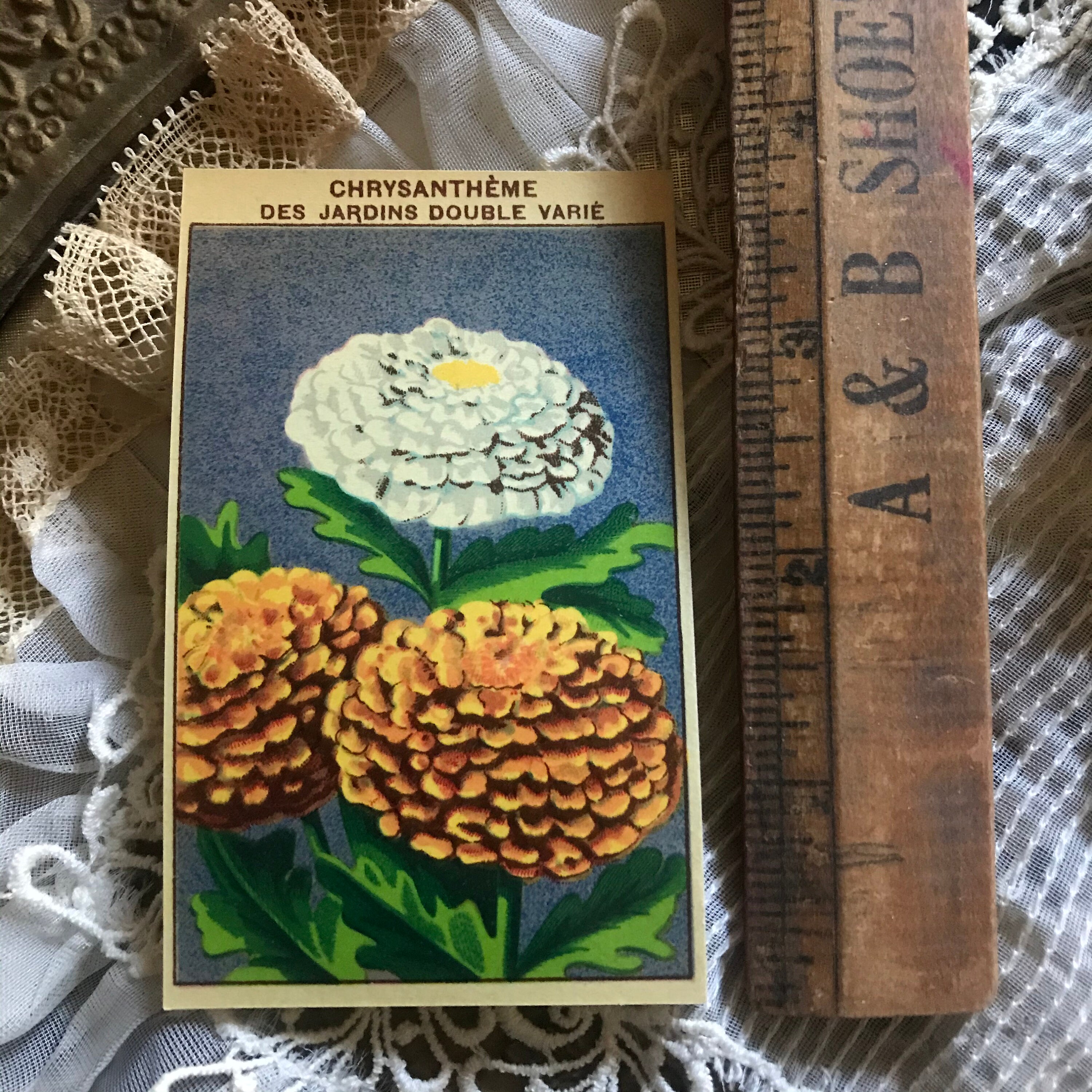 Vintage French Flower Seed Packet Labels Random Set of Three | Etsy