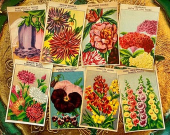 Vintage French Flower Seed Packet Labels 1920s Garden Ephemera Set of 8