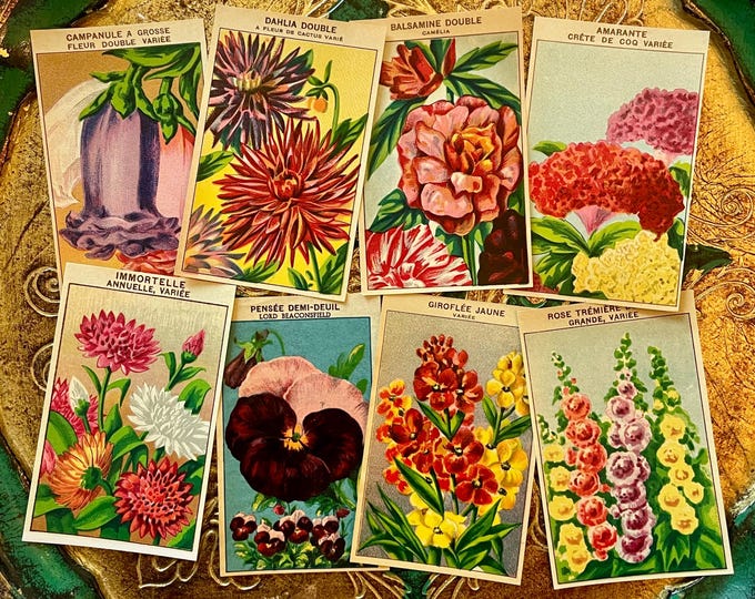 Vintage French Flower Seed Packet Labels 1920s Garden Ephemera Set of 8 ...