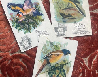 Antique Bird Cards 1800s  Set of 3 Household Sewing Machine Co. Providence RI