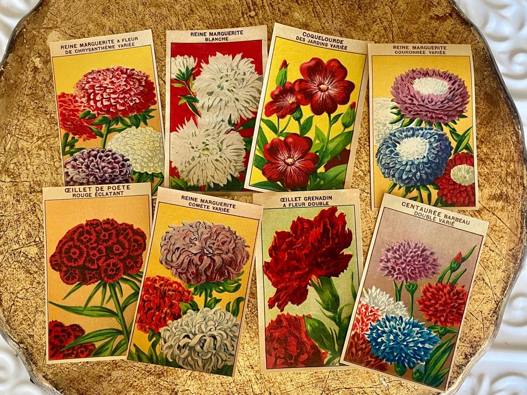 Vintage French Seed Packet Labels 1920s Antique Flower Garden Ephemera ...