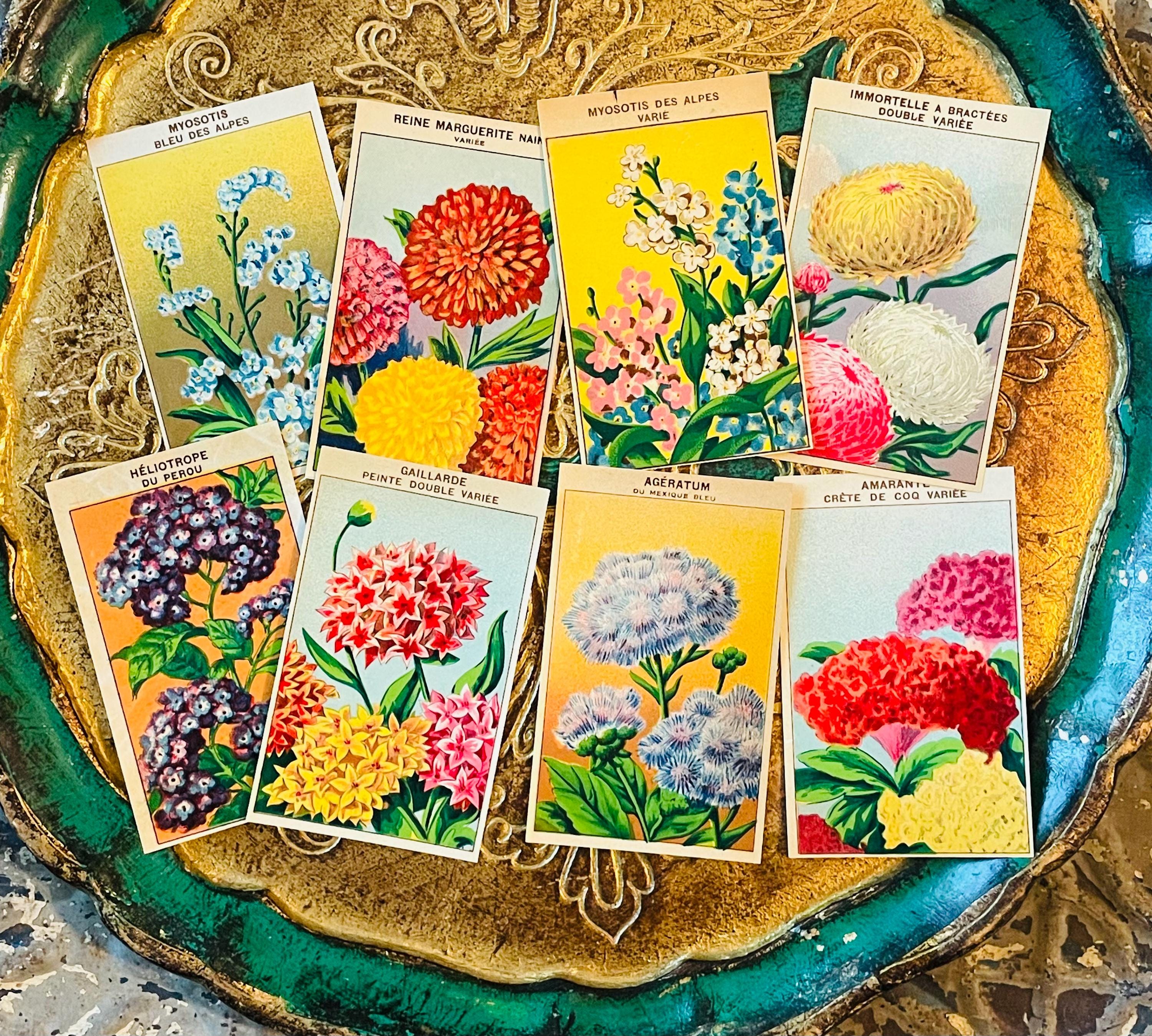 Vintage French Flower Seed Packet Labels 1920s Garden Ephemera Set of 8 ...